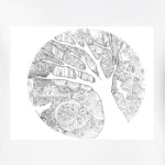 Контур дерева