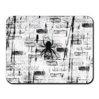 Паук на стене