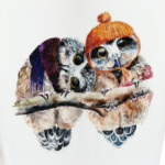 Cute owls Милые совы