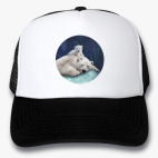 Кепки Trucker