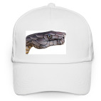 черная змея