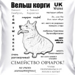 Корги. ЧаВо