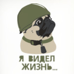 Я видел жизнь