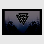 Валкнут и Вороны Одина