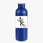 Термобутылка