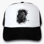 Кепки Trucker