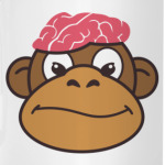 Обезьяньи мозги