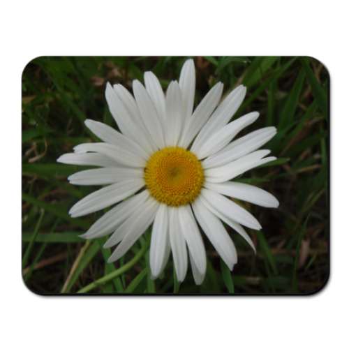 Коврик для мыши с принтом  'Ромашка'