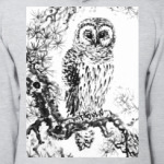 Сова на сосне