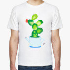 Домашний цветок