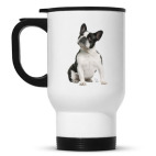 Французский бульдог