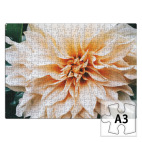 Пазл Летние цветы