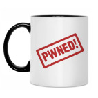 Кружка двухцветная