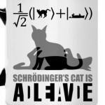 Котэ Шрёдингера