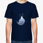 Северный полюс