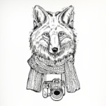 Лис-фотограф