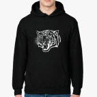 Тигр