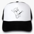 Кепки Trucker