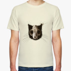 Строение черепа кота