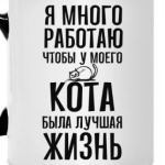 Я много работаю чтобы у кота была лучшая жизнь