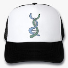 Кепки Trucker