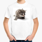 Любопытный котенок