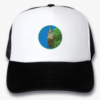 Кепки Trucker