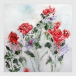 Розы после дождя