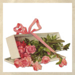 Розы в подарок