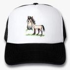 Кепки Trucker