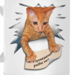 Котенок