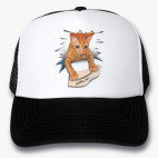 Кепки Trucker
