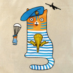  Кот Десантник, парашют и самолёт