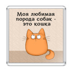 Магнит 6.5 x 6.5 см Обожатель кошек