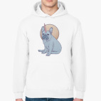 Толстовка худи