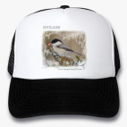 Кепки Trucker