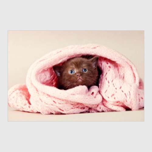 Постер с принтом Милые котики, коты и котята