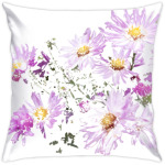 Хризантемы