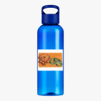 Прозрачная спортивная бутылка