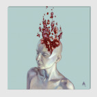 Просветление