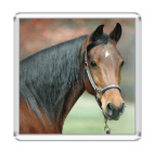 Магнит 6.5 x 6.5 см 'Лошадь'
