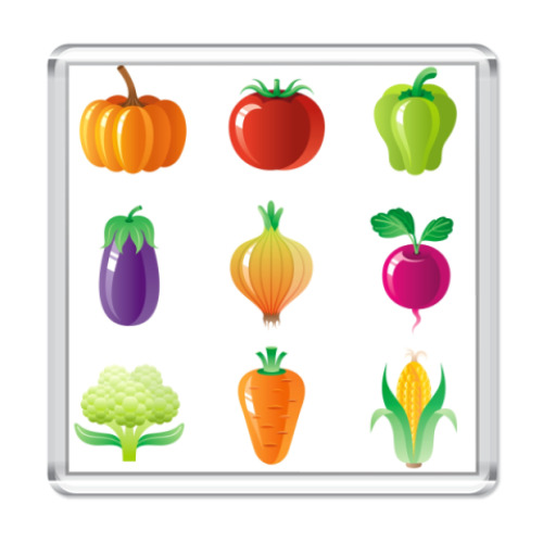 Магнит с принтом   go veg