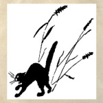 Кошка в камышах