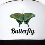 Бабочка Парусник - Махаон