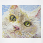 Нежный котик