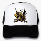 Кепки Trucker