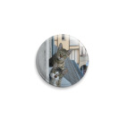  'Кошки на крыше'