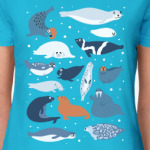 Ластоногие