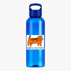 Прозрачная спортивная бутылка