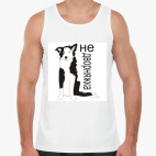 Не дворняжка